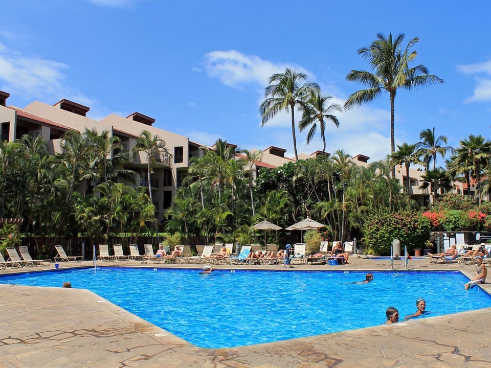 Swimming pool, Swimming pool