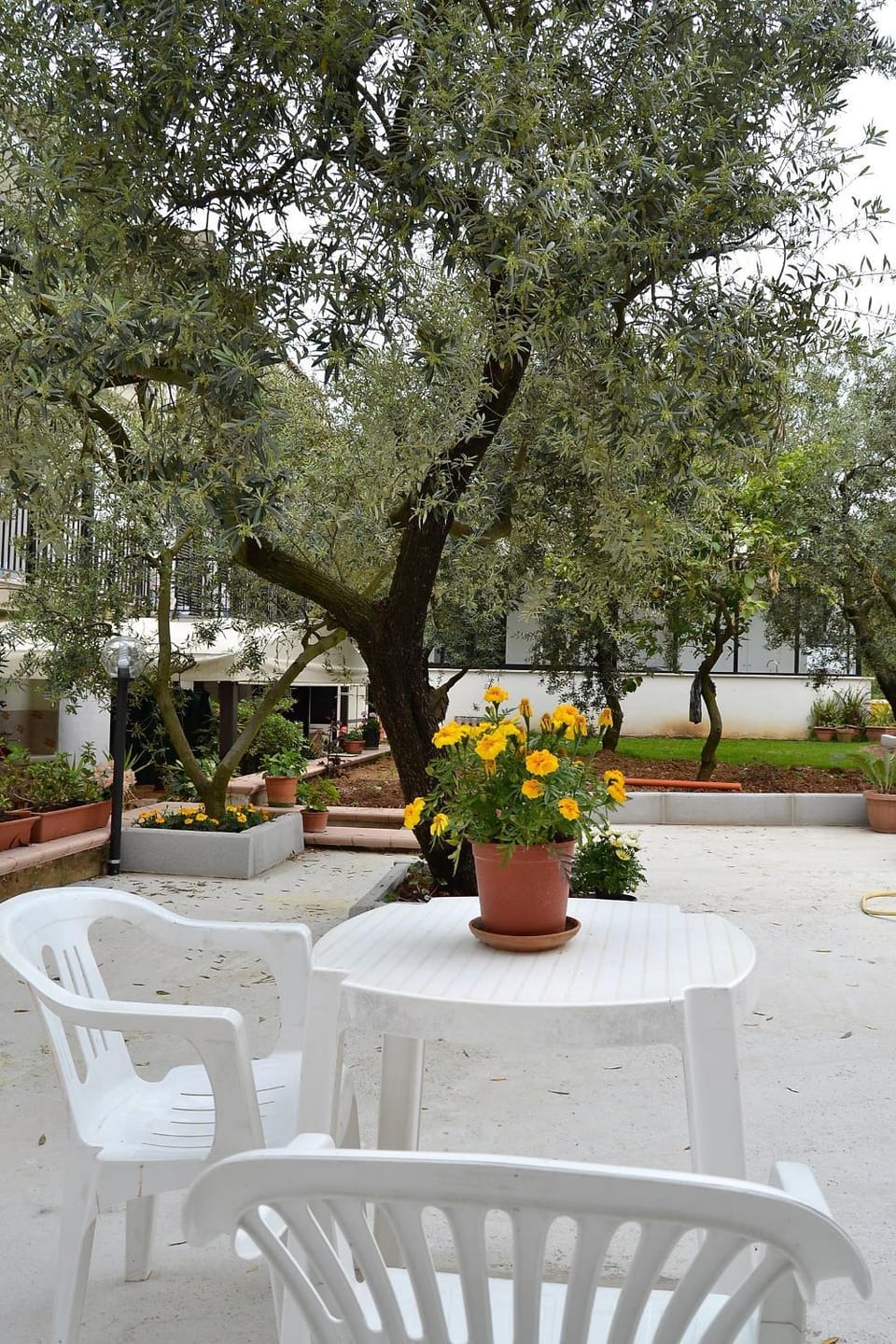 Garden, Garden, Garden view