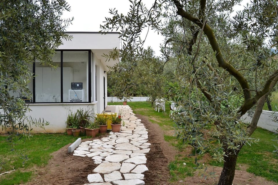Garden, Garden, Garden view