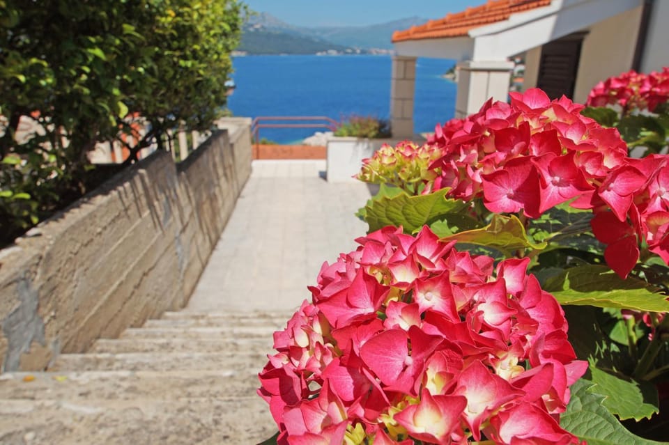 Natural landscape, Decorative detail