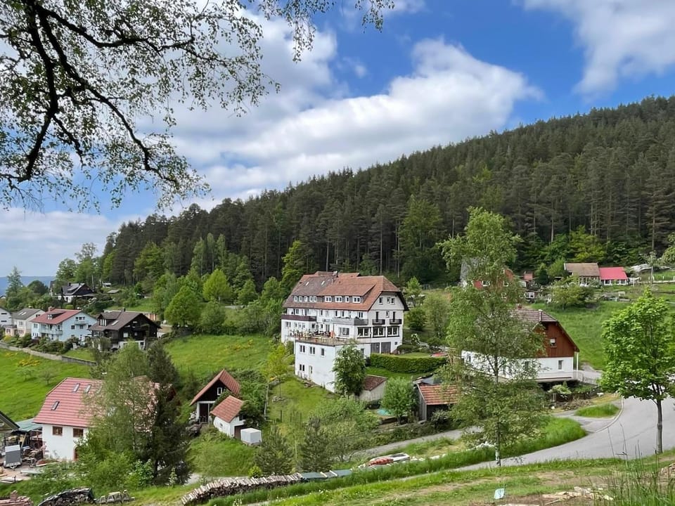 Property building, Day, Neighbourhood, Natural landscape