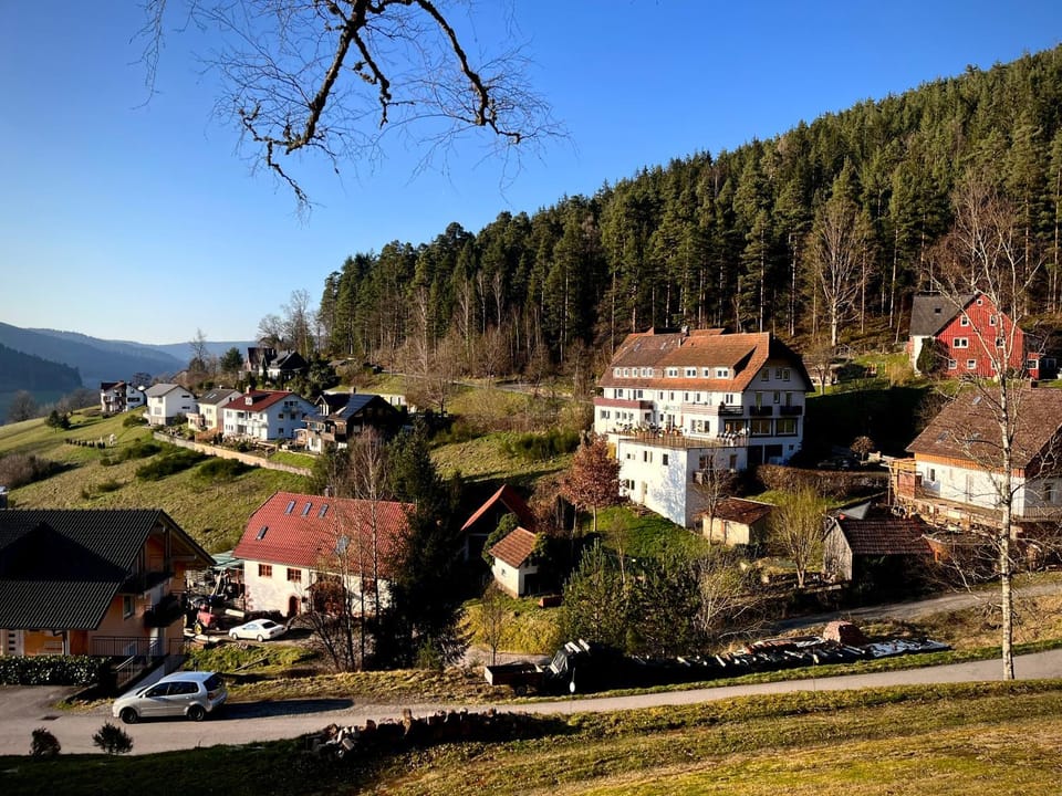 Spring, Day, Natural landscape