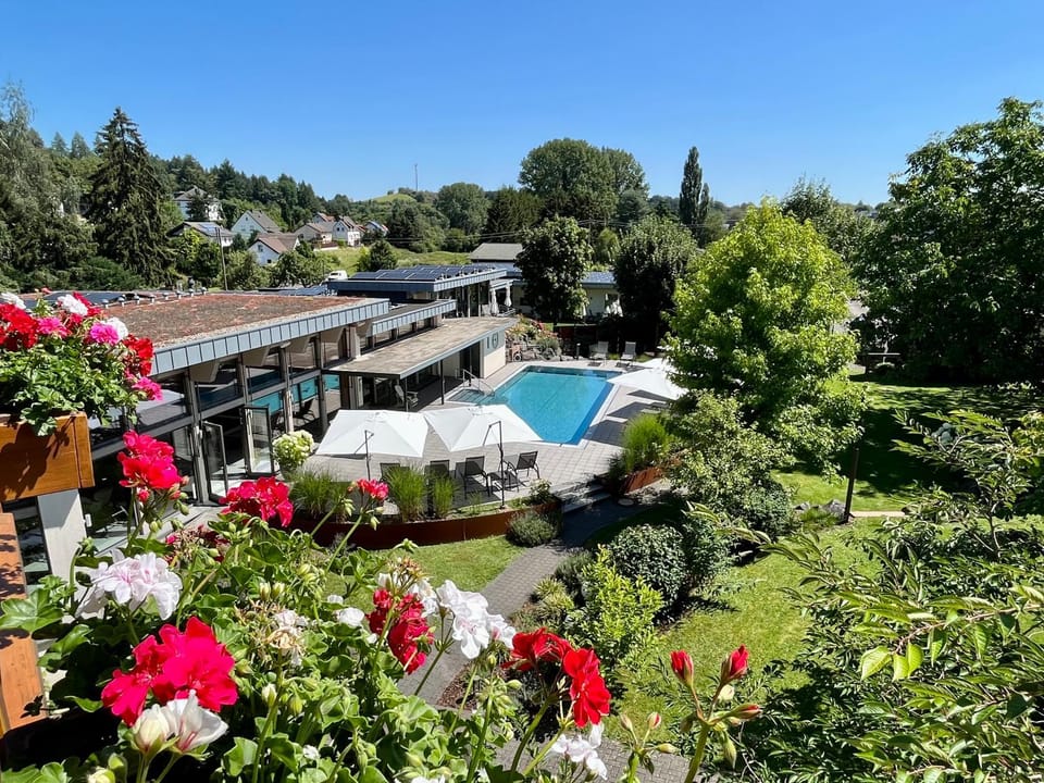 Property building, Day, Natural landscape, Garden, Garden, Garden view, Pool view, Swimming pool, Swimming pool, sunbed