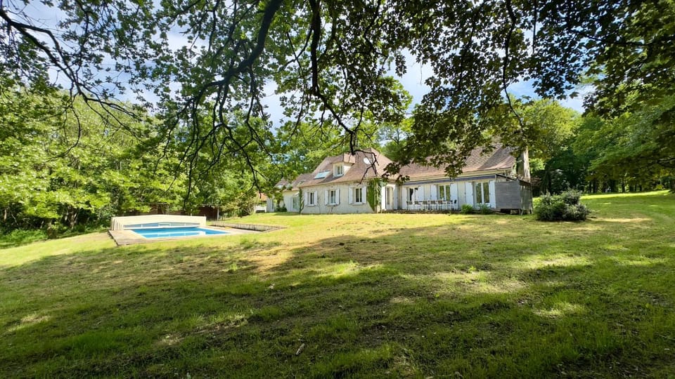 Natural landscape, Garden, Garden view, Pool view, Swimming pool, sunbed