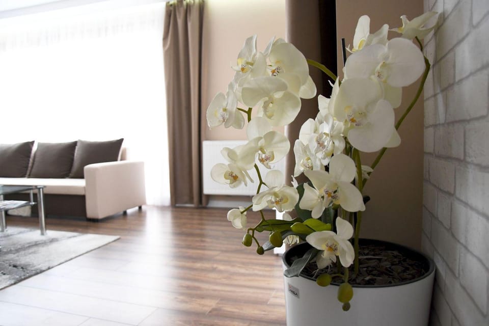 Apartament Wilga Park Apartment in Krakow