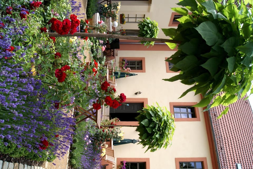 Patio, Facade/entrance