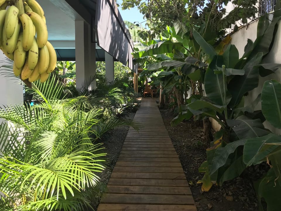 Centro de Santiago Bed and Breakfast in Santiago de los Caballeros