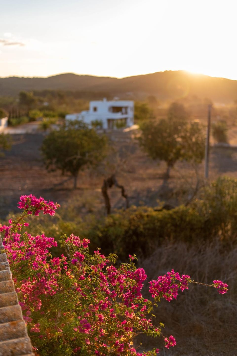 Finca Can Rosa Ibiza, private pool, a nature getaway Villa in Ibiza