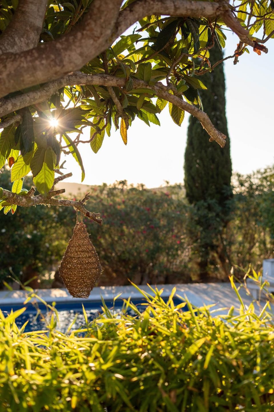 Finca Can Rosa Ibiza, private pool, a nature getaway Villa in Ibiza