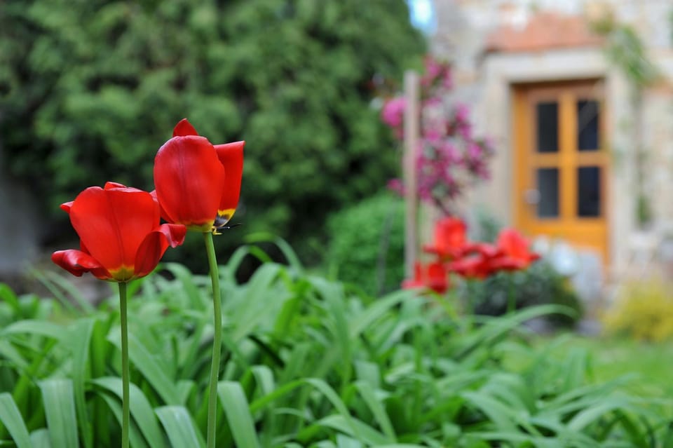 Facade/entrance, Off site, Natural landscape, Garden, Decorative detail, Garden view