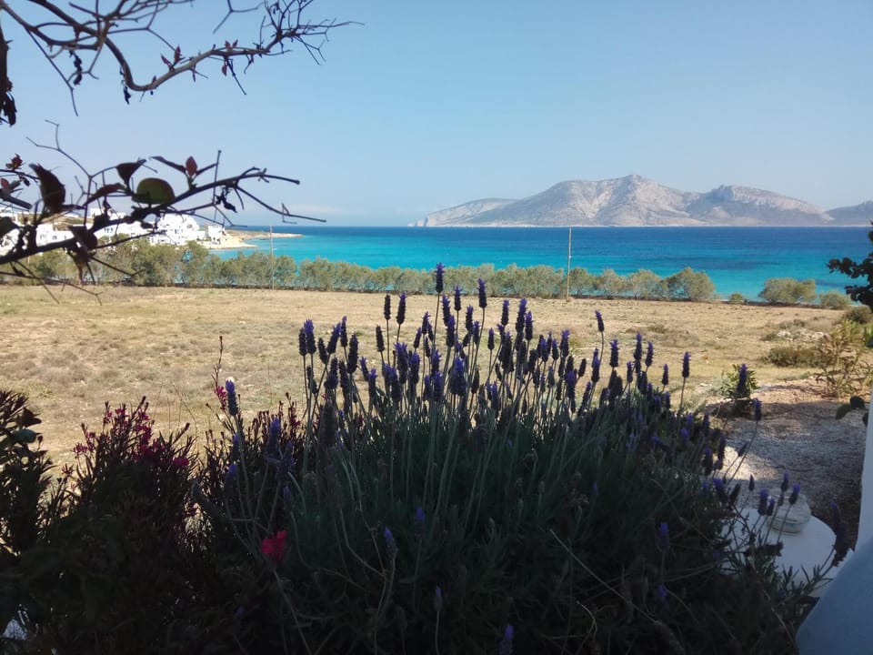 Ammos Studio Apartment in Koufonisia