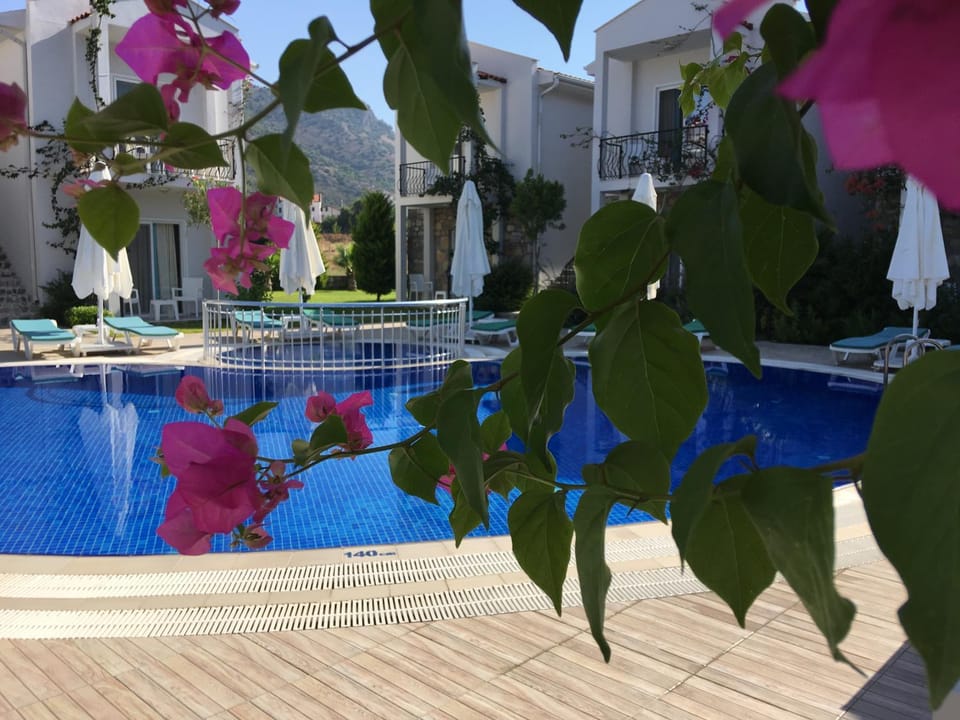 Swimming pool, Swimming pool