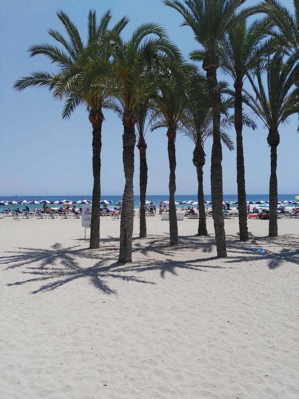 Spring, Off site, Beach