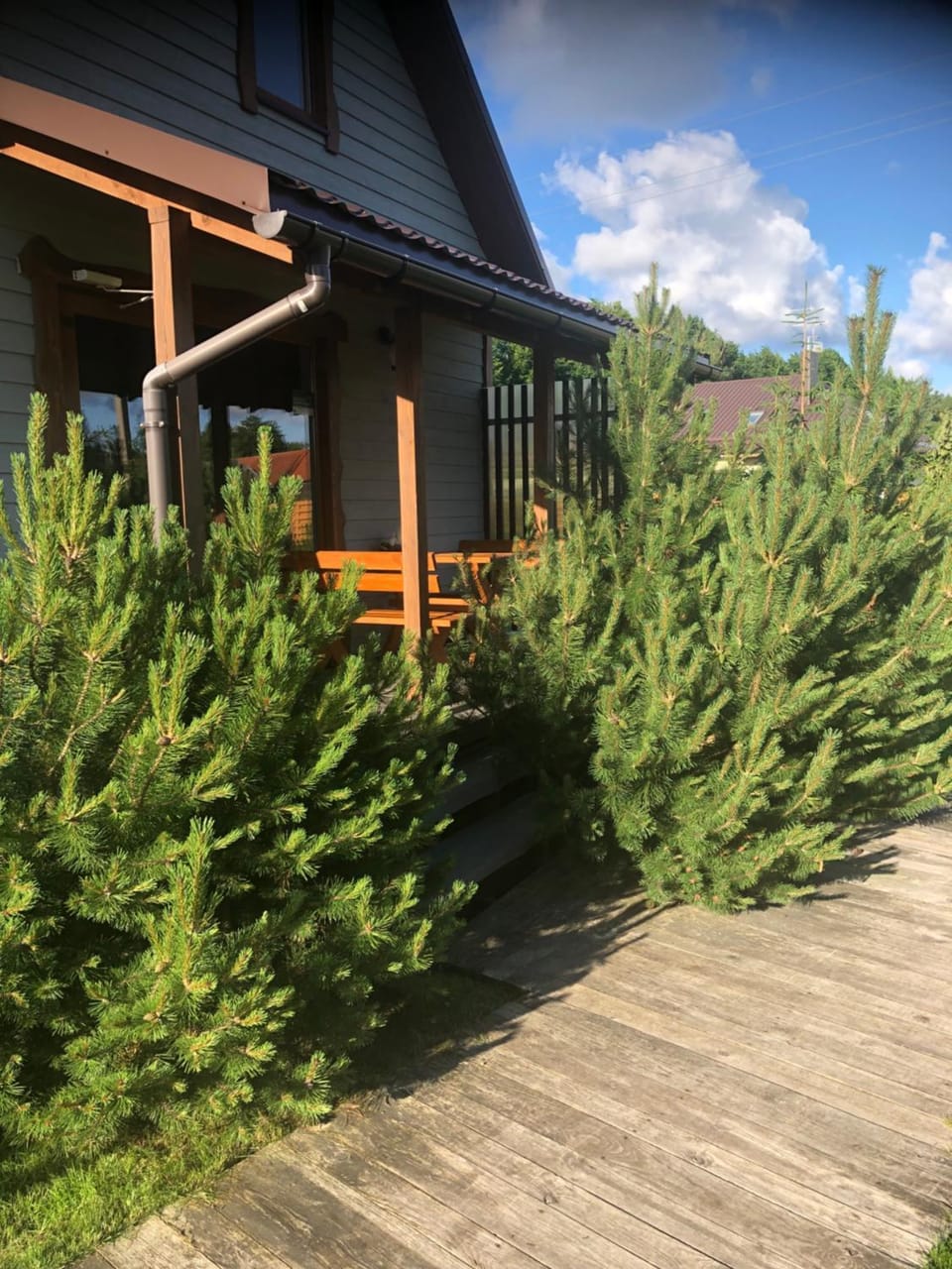 Dobilas ir jura Bed and Breakfast in Palanga
