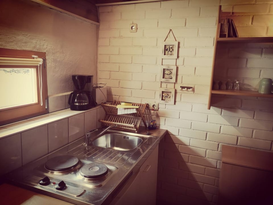 Kitchen or kitchenette, Photo of the whole room, Decorative detail