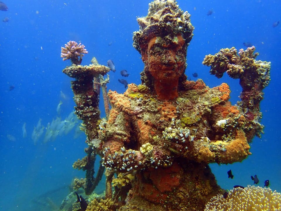 Snorkeling, Diving