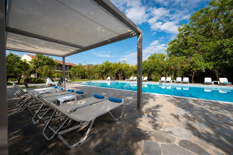 Day, Pool view, Swimming pool, sunbed