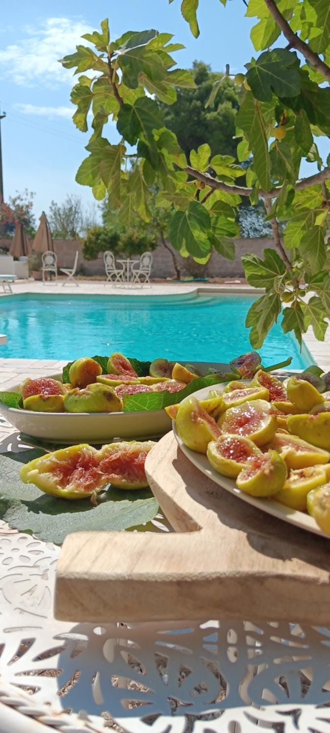 Garden, Food