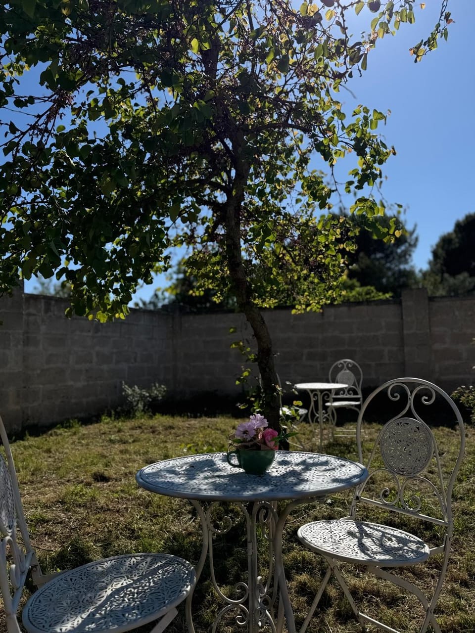 Day, Garden, Garden view