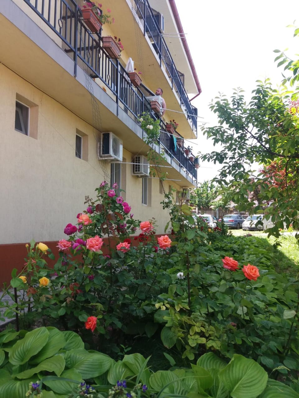 Garden, On site