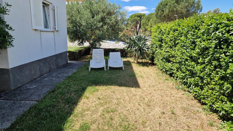 Garden, Garden view, sunbed