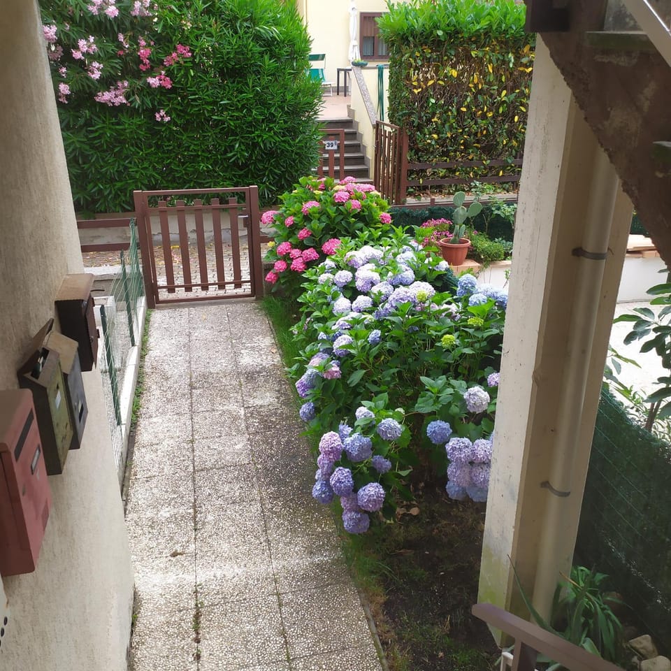 Apartment Santa Maria Apartment in Bolsena