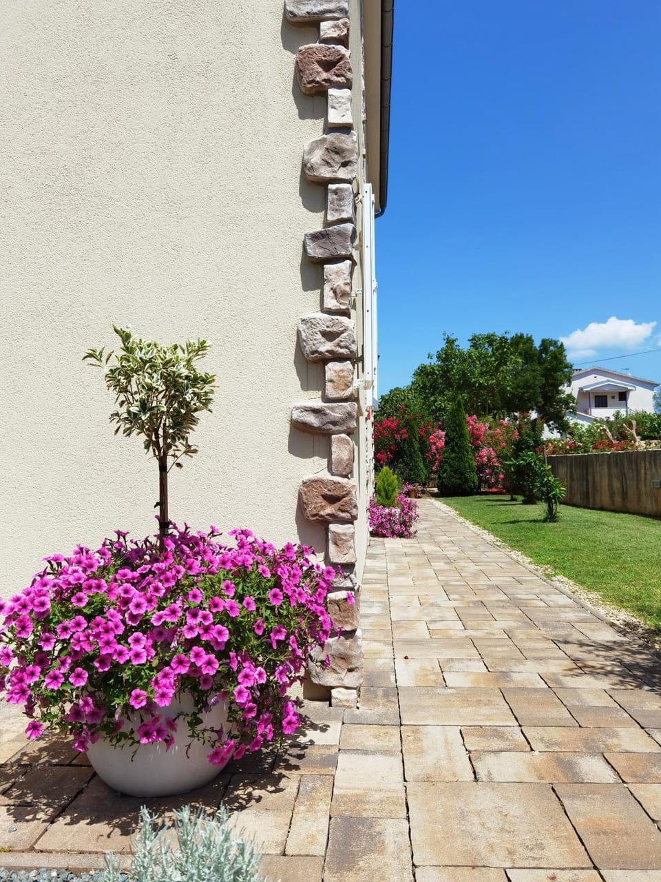 Patio, Facade/entrance, Garden