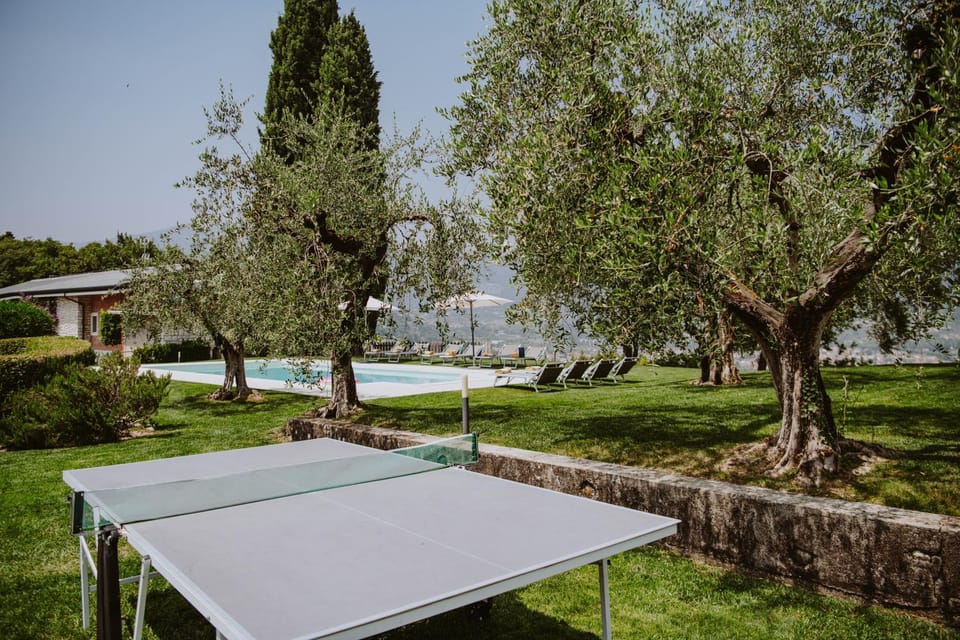 Garden, Table tennis