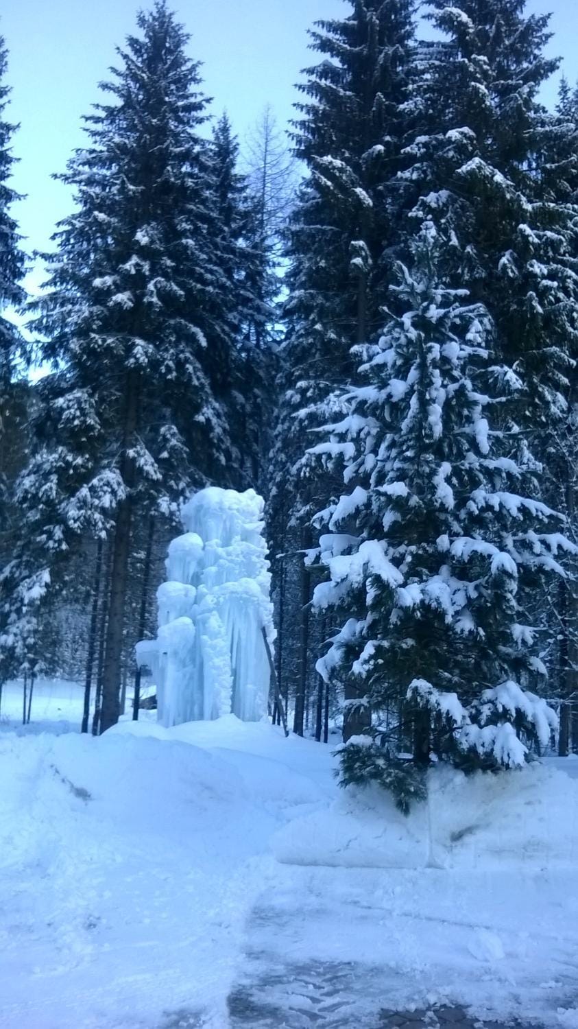 Natural landscape, Winter