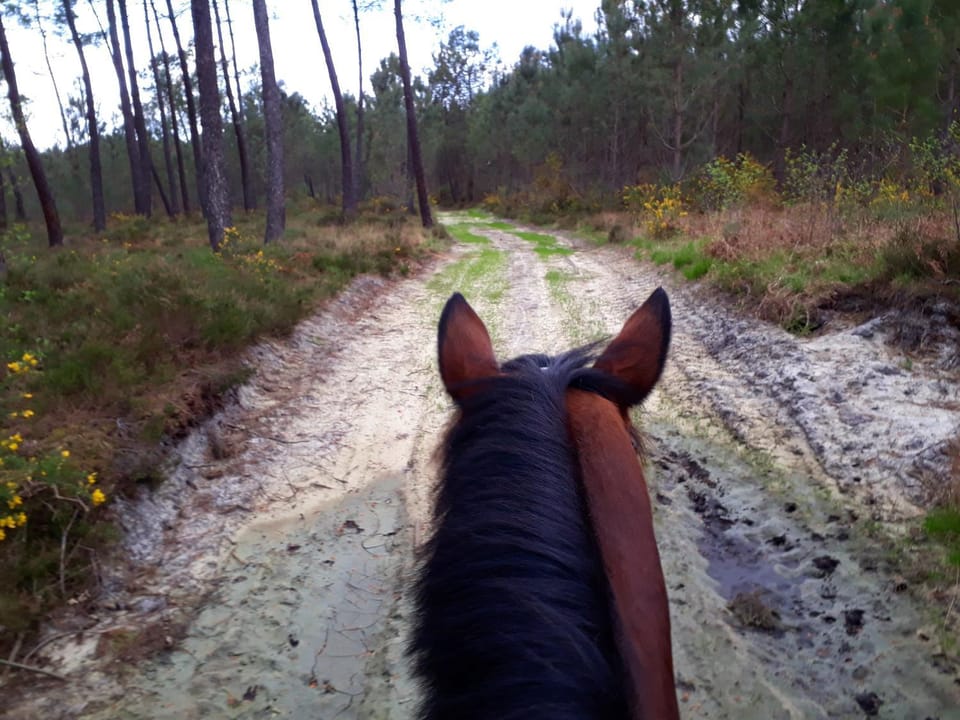 Spring, Horse-riding, Autumn
