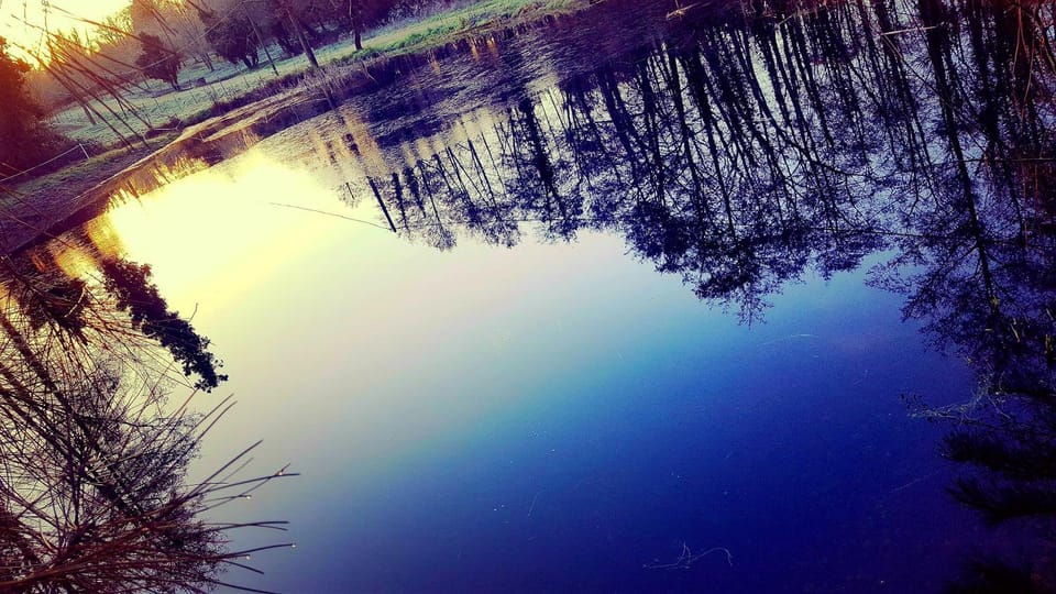 Garden, Lake view, River view