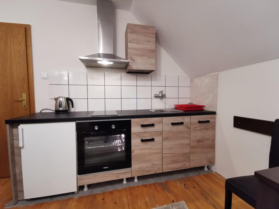 Vila Novaković X Apartment in Zlatibor