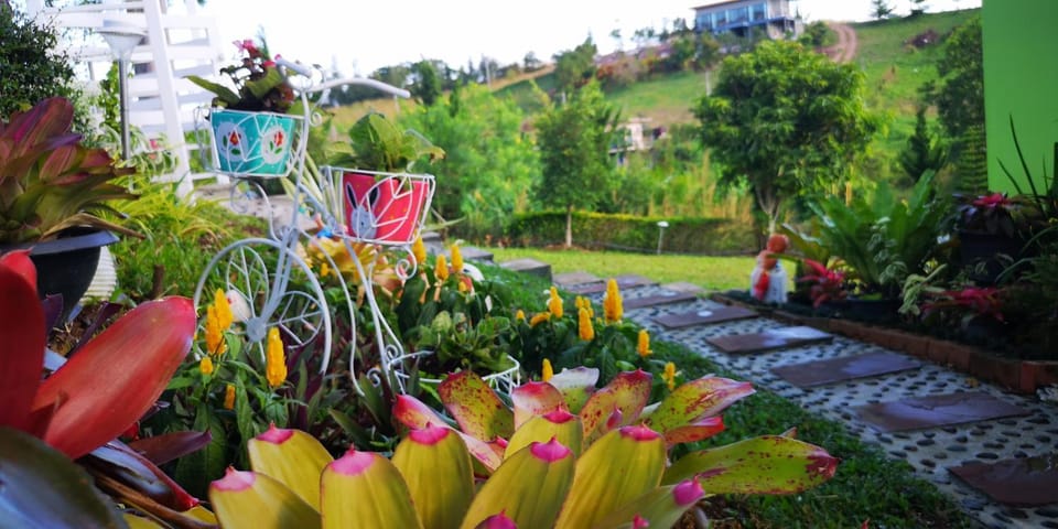 บ้านปลายฝัน Baanplaifun House in Laos
