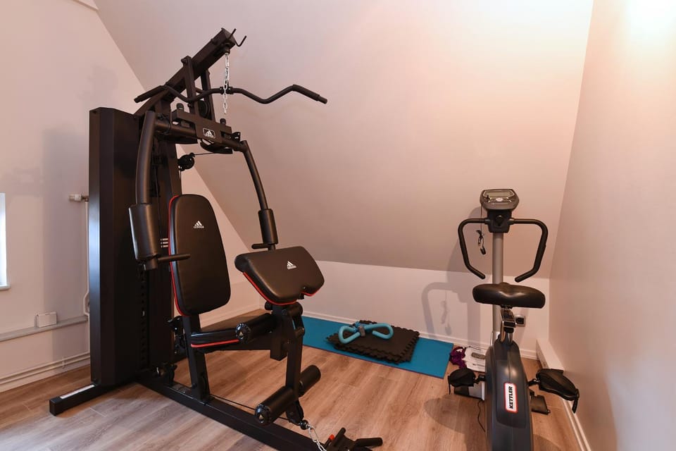 Appartement Beraweka avec Parking, Climatisation et Salle de Sport Apartment in Colmar