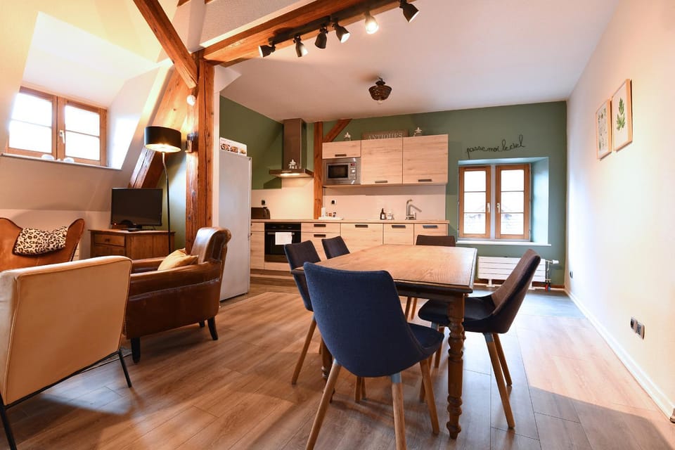 Appartement Beraweka avec Parking, Climatisation et Salle de Sport Apartment in Colmar