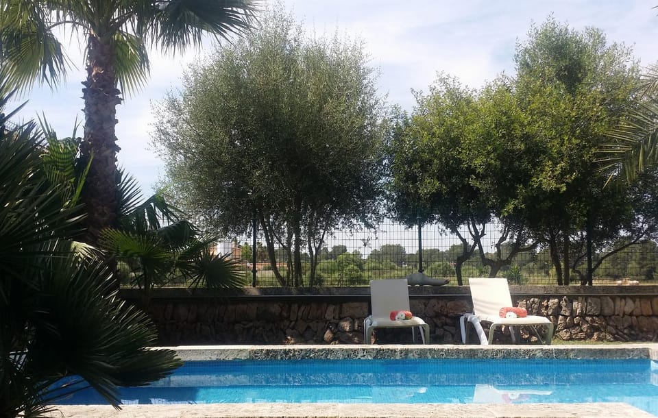 Swimming pool, Swimming pool