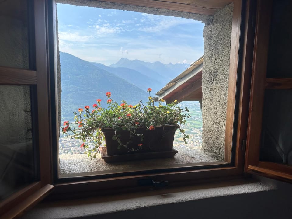 Mountain view