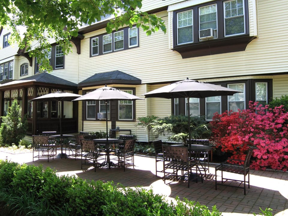 Patio, Day
