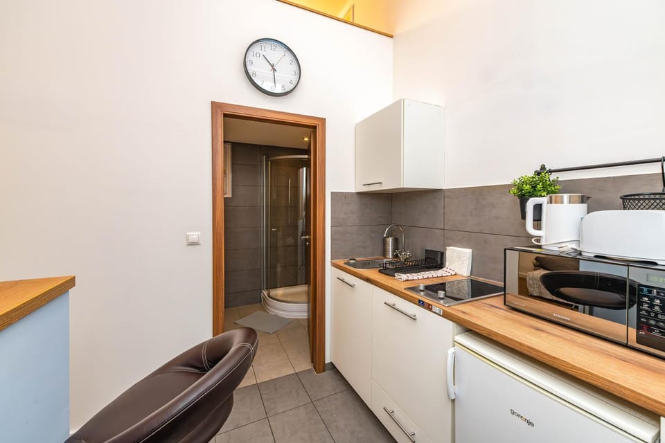 Kitchen or kitchenette, minibar, pet friendly, stove, toaster