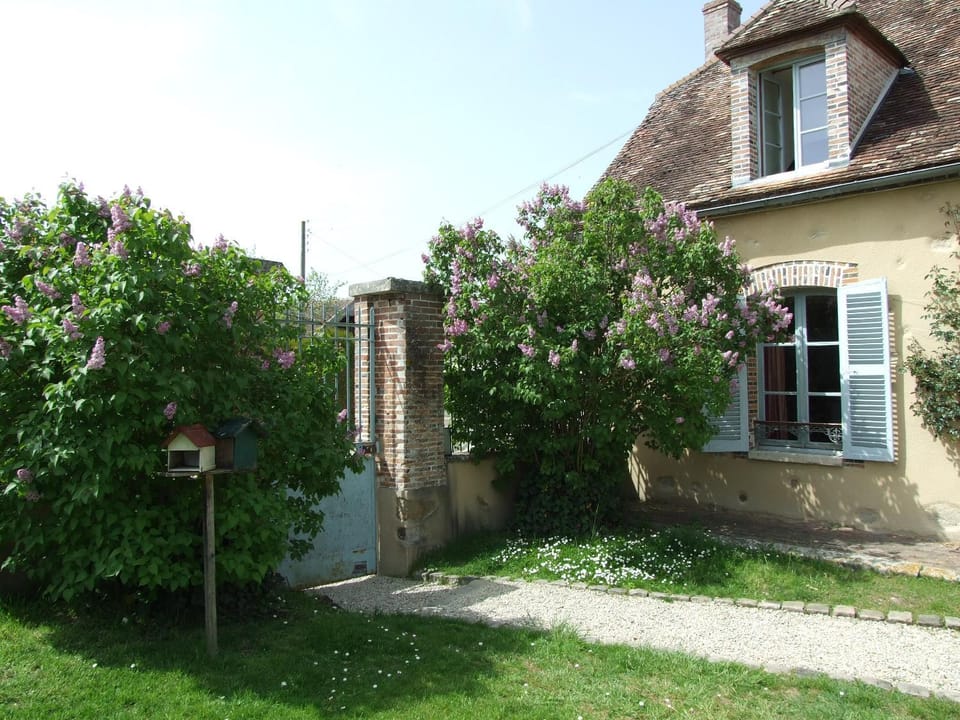 Facade/entrance, Garden