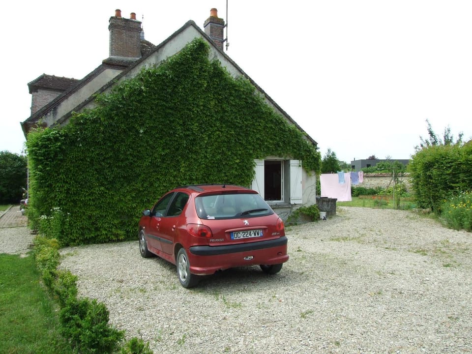Property building, Garden view