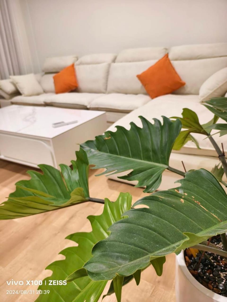 見海灣私旅 Vacation rental in Hengchun Township