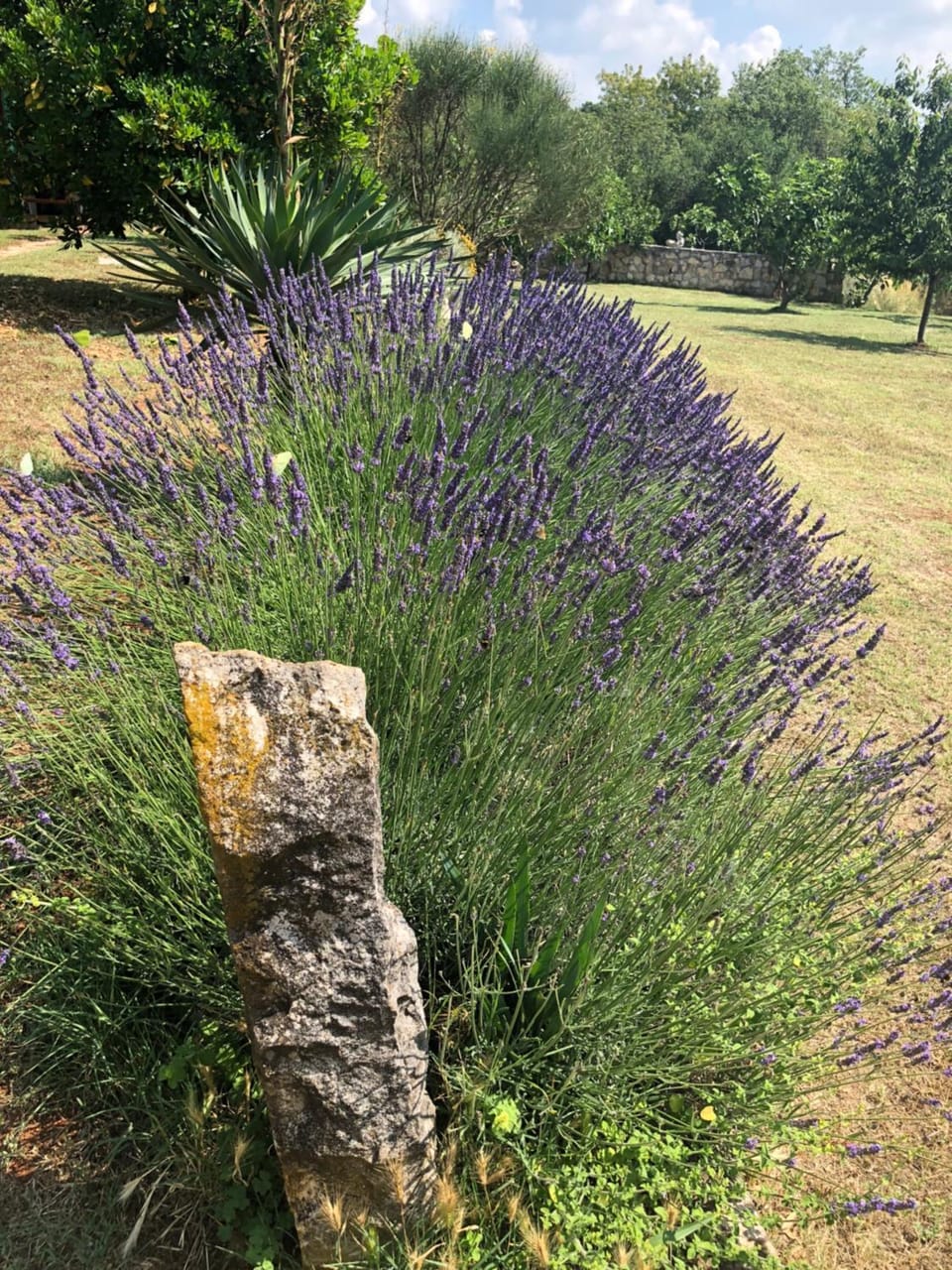 Stancieta Ulrihi Villa in Istria County