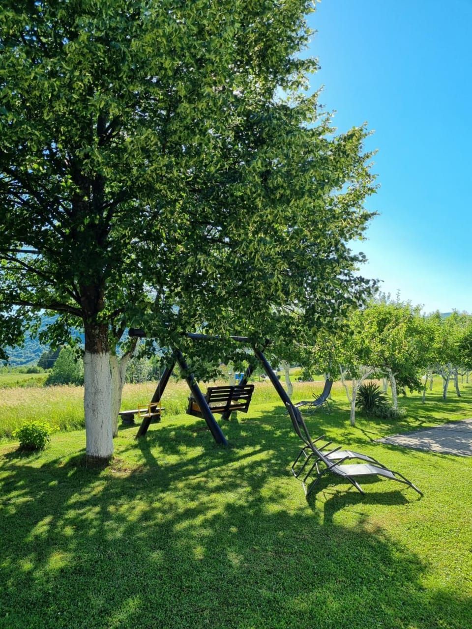 Natural landscape, Garden, View (from property/room), sunbed