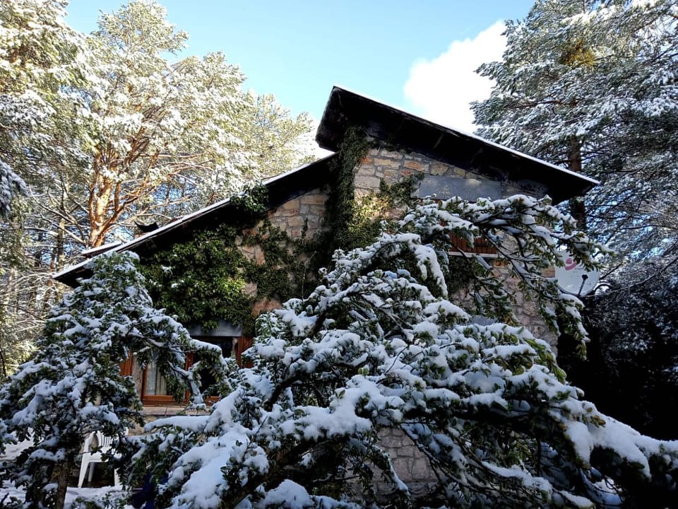 Natural landscape, Winter