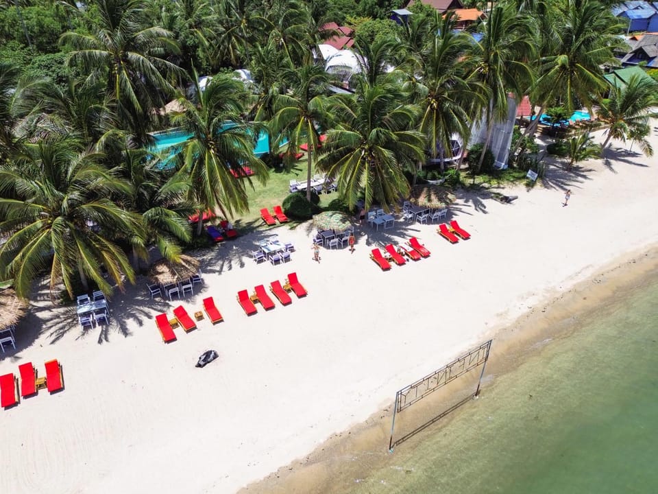 Nearby landmark, Day, People, Natural landscape, Bird's eye view, Beach, Sea view, group of guests, sunbed