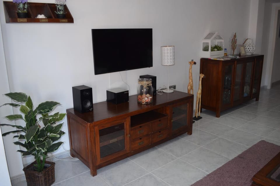 TV and multimedia
