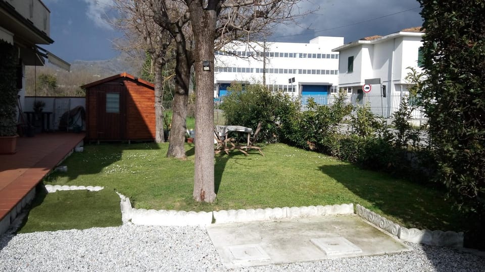Spring, Garden, Garden view