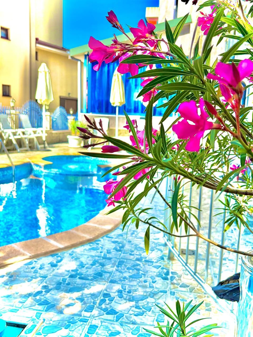 Swimming pool