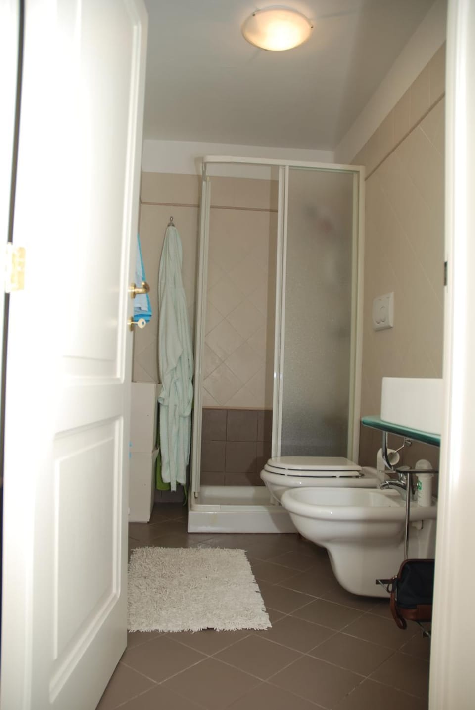 Shower, Toilet, Bathroom